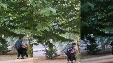 假期学生情侣小树林啪啪